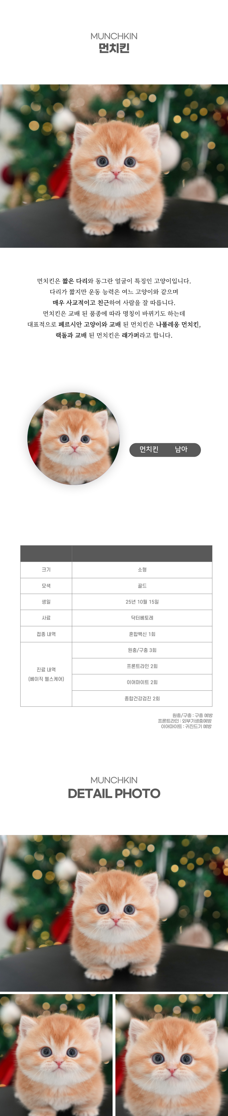 먼치킨_상세이미지_2
